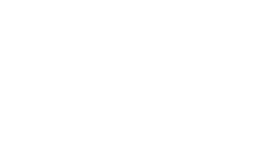 E2S